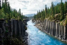 迈尔斯峡谷Miles Canyon半日全解:怀特霍斯玄武岩峡谷徒步-加拿大大